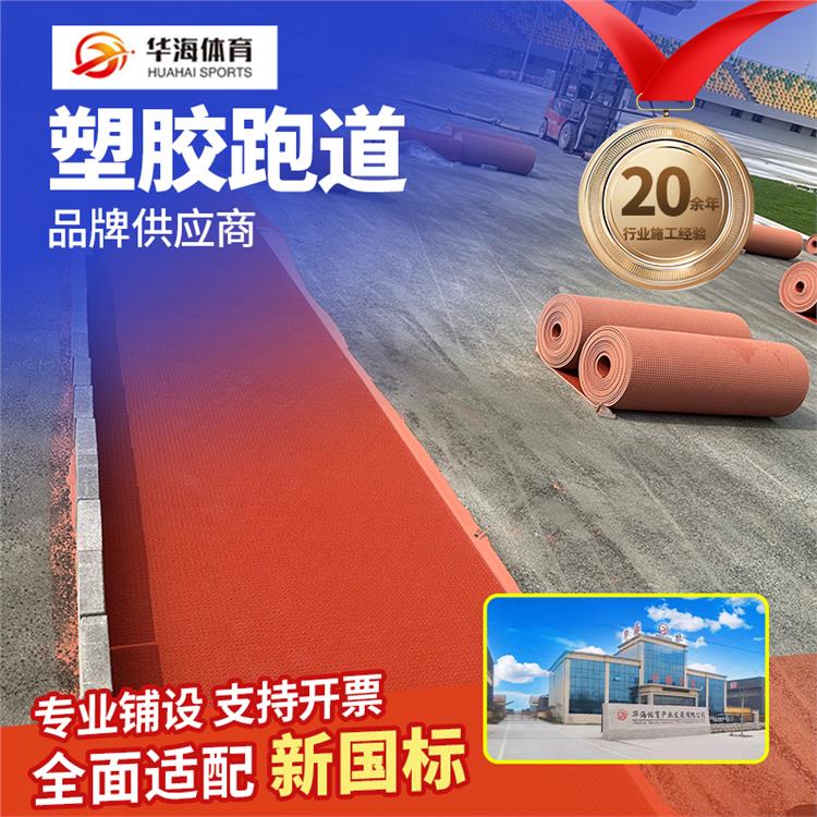 安庆市半预制跑道橡胶跑道 - 厂家